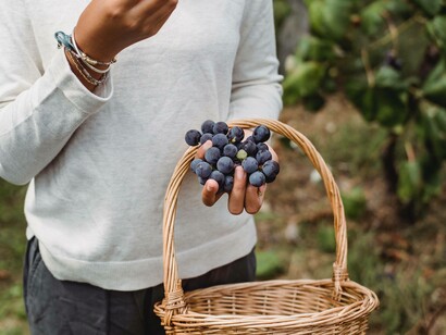 A woman holding a bushel of blueberries 