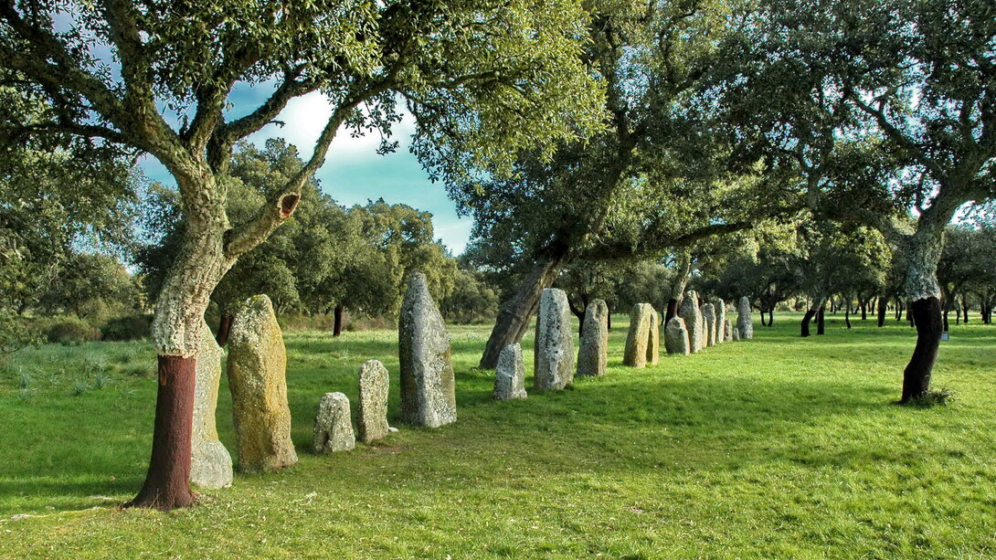 L’allineamento dei Menhir dell’area archeologica di Pranu Muttedu, foto di Cristiano Cani, febbraio 2010
