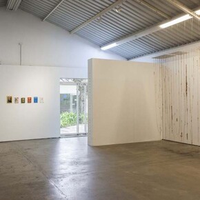 María Elena Pombo, To taima or not to taima, vista de la exhibición. Cortesía de ABRA