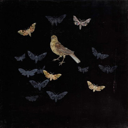 Melanie Miller, Bird and Moths, 2014-2015, oil on gessoed board, 50 x 50 cm