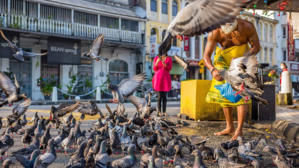 A man is feeding birds in George Town, Penang, Malaysia, amidst the city's lively atmosphere