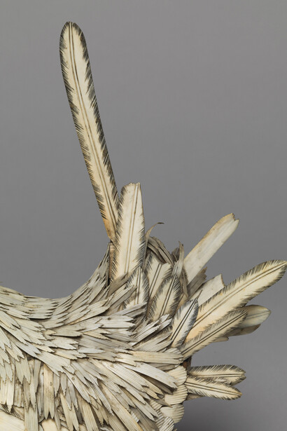 Unknown, Bone cockerel (life size) 230 x 120 x 230 mm, Vivacity Culture and Leisure – Peterborough Museum