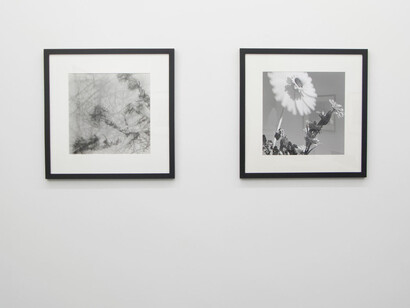 Alberto García-Alix. Courtesy of Xippas Gallery