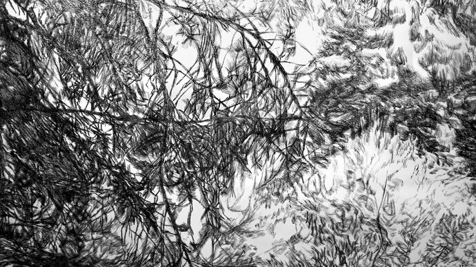 Elli Koutsoukelli, Untitled, charcoal on paper, 150 x 200 cm