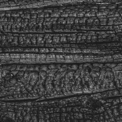 Nonostante le difficoltà e le nuove normative, la passione per questo antico mestiere resiste ancora grazie a chi lo vive come un legame con la natura e con il passato