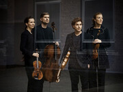 Signum Quartet, Photo by Irène Zandel 