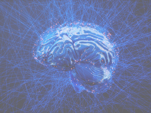 Mind uploading could emulate the brain in its entirety and therefore with all its biological and functional substrate