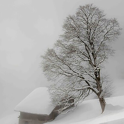 Winter day