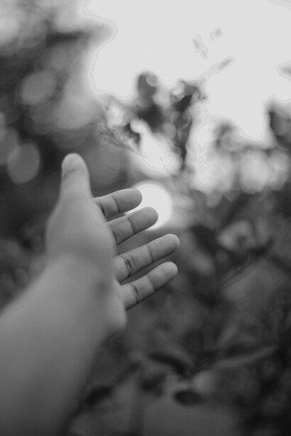 La vida puede contemplarse como un camino de aprendizaje, donde cada decisión contribuye a dar sentido al recorrido humano