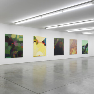 Phoebe Unwin “Field”
Veduta di mostra / Exhibition view Collezione Maramotti, 2018
Ph. Dario Lasagni
