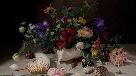 Rebecca Louise Law, Balthasar Van der Ast 2014