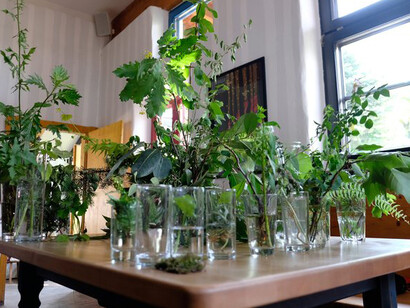 Resanita. Courtesy of Kunst Haus Wien