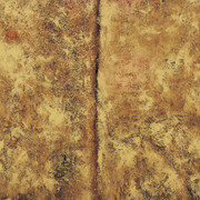 Untamed Colour. Courtesy of Montreal Museum of Fine Arts