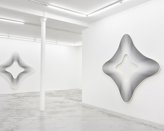 Philippe Decrauzat. Courtesy of Praz-Delavallade
