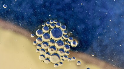 Le terme hérédité vient du latin hereditas signifiant en français « ce dont on hérite »