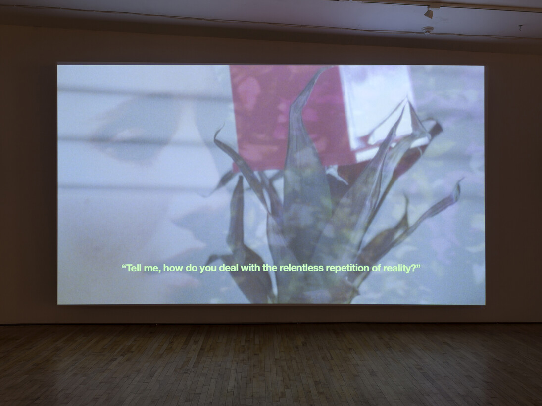 Basim Magdy, The Everday Ritual of Hatching Monkeys, 2014. Still from Super 16mm film transferred to Full HD, 13 minutes, 22 seconds. Installation view at Art in General. Image courtesy the artist and Art in General.
Photo: Charles Benton.