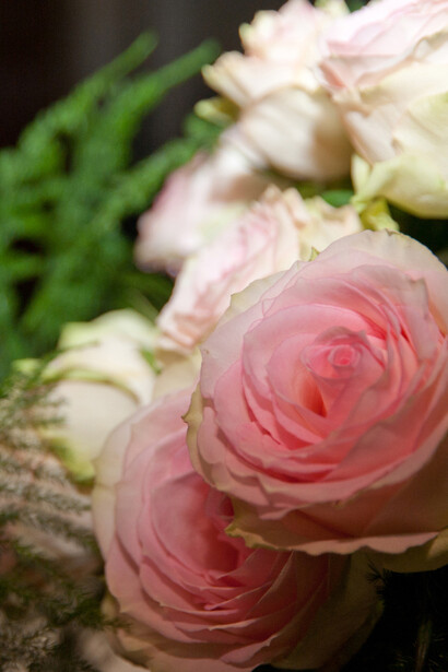 Le rose erano alla base di molti profumi