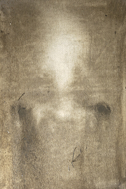 Edgar Massul  *das tuas margens, algumas plantas espremidas, 2014 (séries)