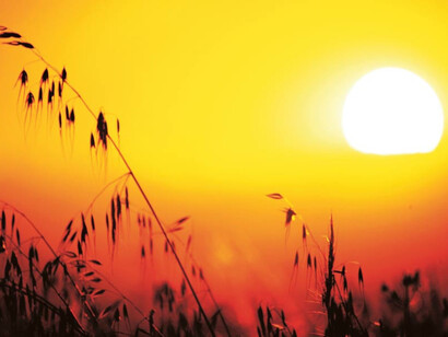 El sol sobre los campos de España