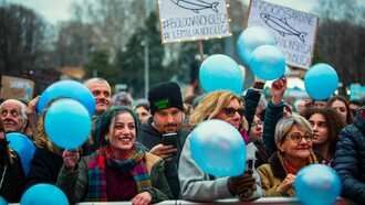 El movimiento de las sardinas
