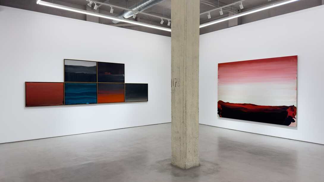 Nico Munuera, The willow is green, exhibition view. Courtesy of Moisés Pérez de Albéniz Gallery