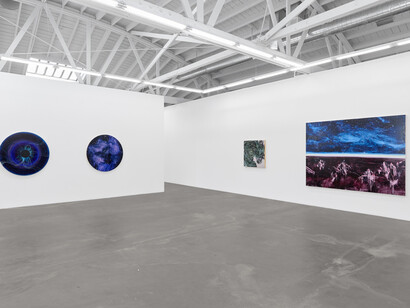 Lia Halloran, Night watch, exhibition view. Courtesy of Luis De Jesus Los Angeles