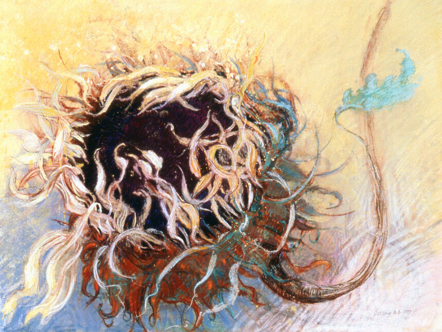 Jimmy-Wright-Sunflower-with-