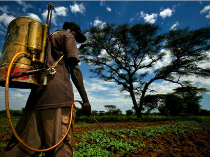 Africa, agricultor disinfestando su tierra. Fotografía Brent Stirton 