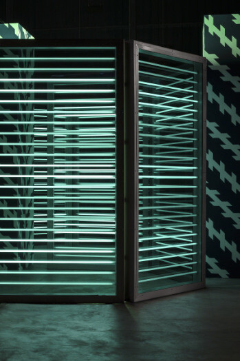 Carsten Höller. Courtesy of Museo Tamayo