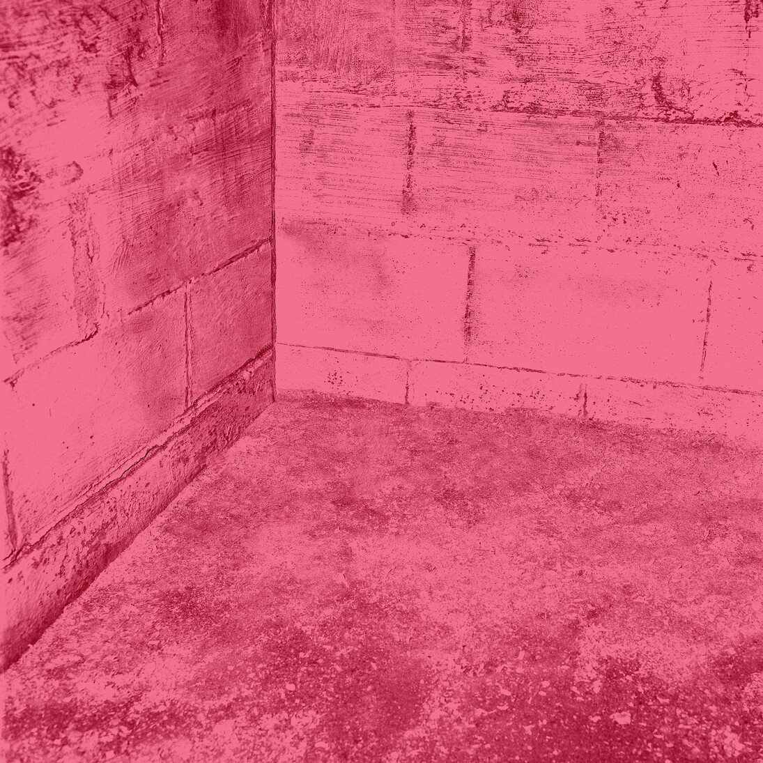 Jonathan Calm, Bear Chamber, 30 x 40 inches. Courtesy of LMAKprojects, NY