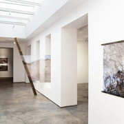 Leyla Cárdenas, Posibles bifurcaciones, vista de exhibición. Cortesía de la Galería Max Estrella