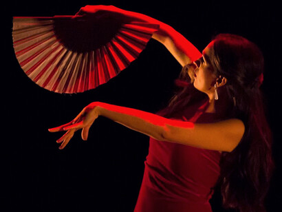 Bailarina de flamenco