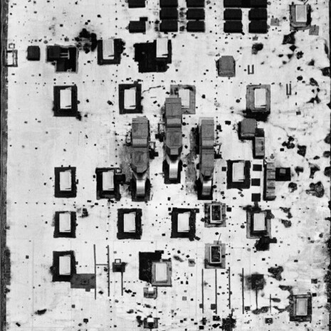 Allegra Pacheco, Chip (digital black and white photograph), 2014 installation