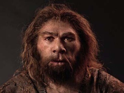 Homo sapiens