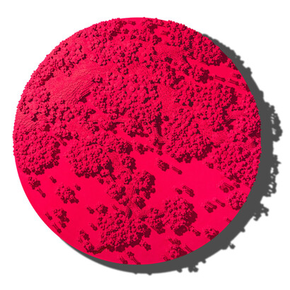 Ran Hwang, Beyond the serenity, 2024. Courtesy of Leila Heller Gallery