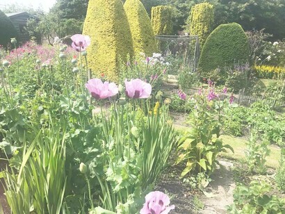 The blossoming garden area at Dominey’s Yard located in the Dorset countryside