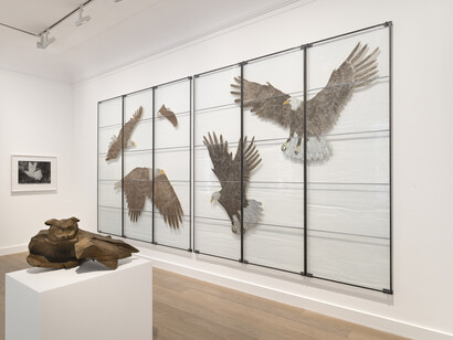 Kiki Smith, Flight, exhibition view. Courtesy of Galerie Lelong