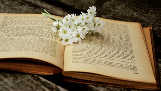 Daisies on an old book 