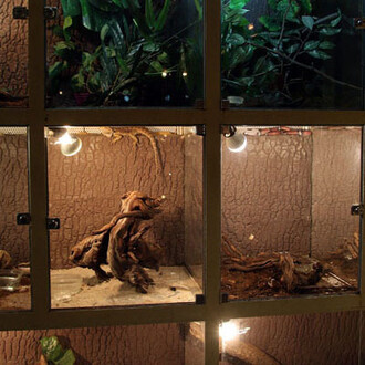 Terarium. Courtesy of Regional Natural History Museum of Plovdiv