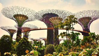 Symbol of Singapore and its efforts to promote green space, these “Supertrees” belong to a display at the 250-acre Gardens by the Bay