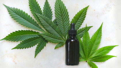 Hemp seed oil is recognized as safe as it contains very little THC