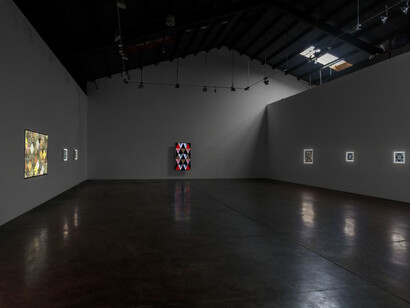 Sabrina Gschwandtner, Exhibition view. Photography © Joshua White - JWPictures.com. Courtesy of Shoshana Wayne Gallery