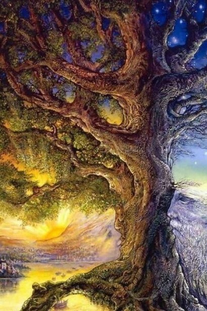 La Quercia della Conoscenza
