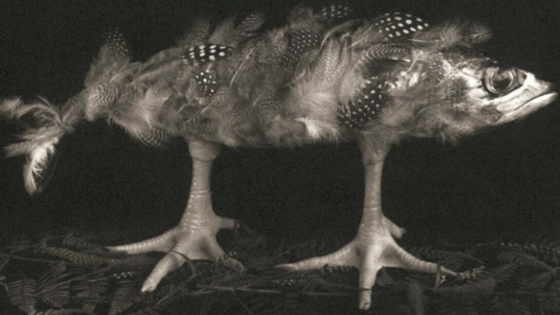 Michiko Kon. Courtesy of Robert Mann Gallery