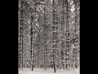 Ansel Adams in Our Time. Courtesy of Museum of Fine Arts