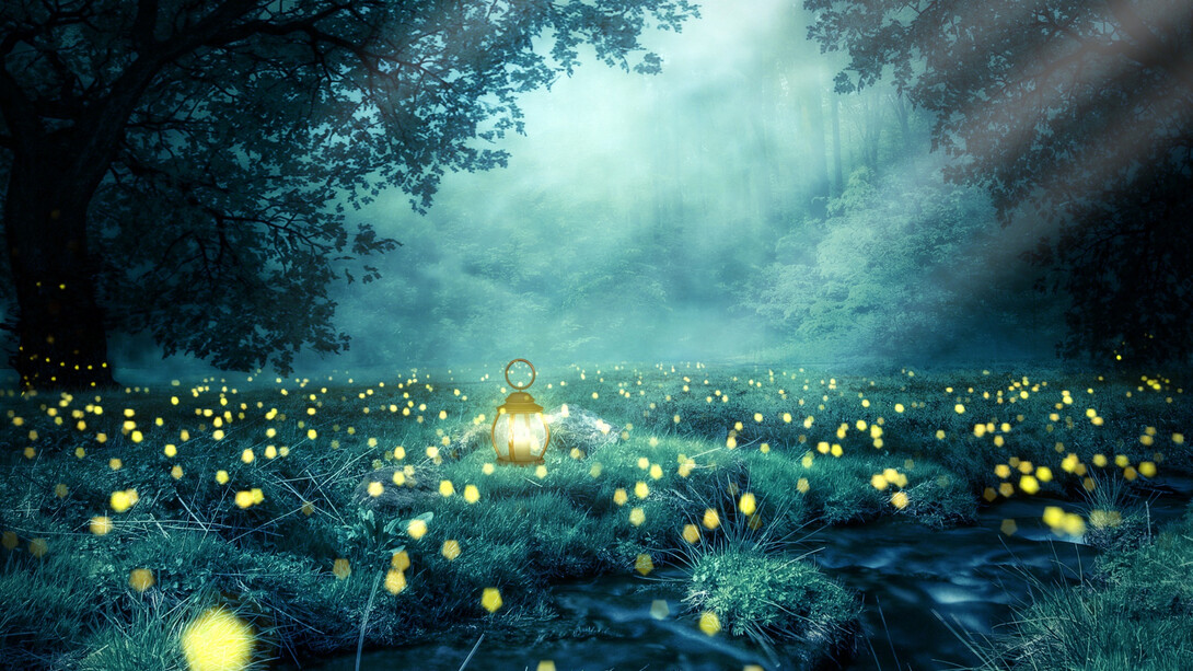 A night forest of trees, with the glow worms
