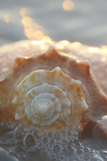 Nel sinonimo può esserci affinità, corrispondenza, pace. Nel suo contrario no