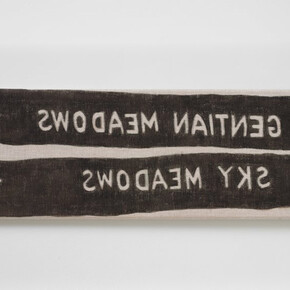 Hendl Helen Mirra, not gentian meadows, 2021. Courtesy of Galerie Nordenhake