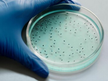 Si por puro azar las primeras moléculas de un planeta lejano se agruparan al revés que en la Tierra, se crearía de forma natural una vida espejo a la nuestra