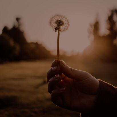 Hope is an essential ingredient of our psychology and sometimes survival